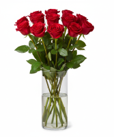 1 Dozen Long Stem Red Roses - VASE INCLUDED
